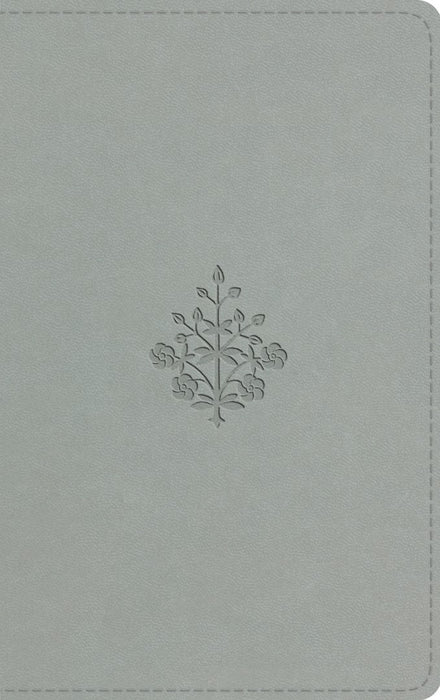 ESV Large Print Value Thinline Bible, River Stone