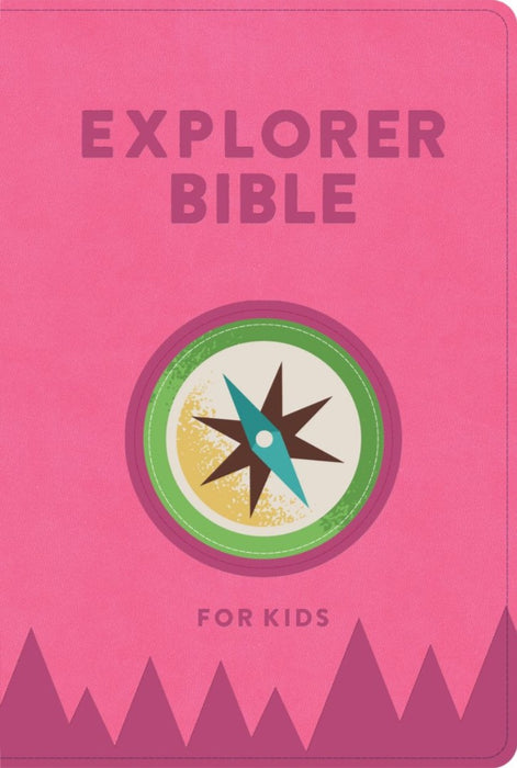 KJV Explorer Bible For Kids, Bubble Gum, Indexed