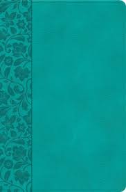 KJV Giant Print Reference Bible, Teal Leathertouch, Indexed