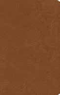 NASB Single-Column Personal Size Bible, Tan Genuine Leather