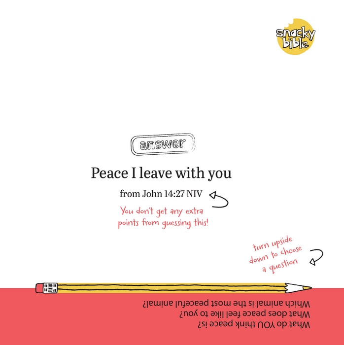 Holy Squiggles Gamebook