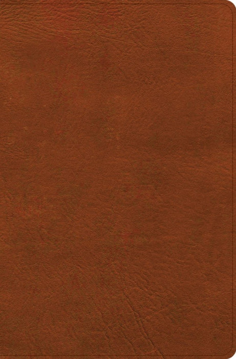 CSB Giant Print Reference Bible, Digital Study Edition