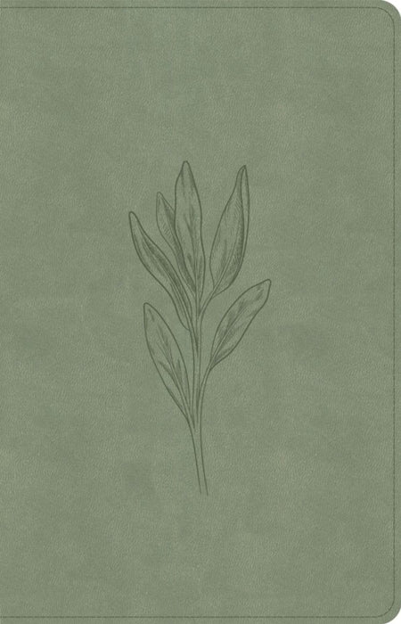 CSB Thinline Bible, Digital Study Edition, Sage