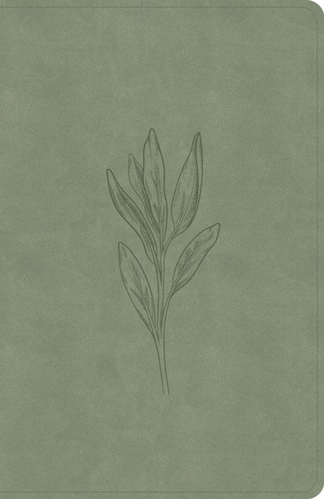 CSB Large Print Personal Size Reference Bible, Digital Study