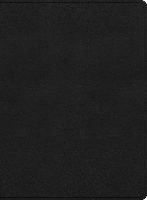 KJV Study Bible, Large Print Edition, Black Leathertouch