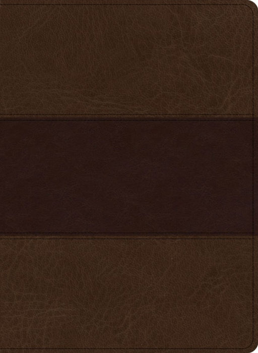 KJV Study Bible, Large Print Edition, Saddle Brown