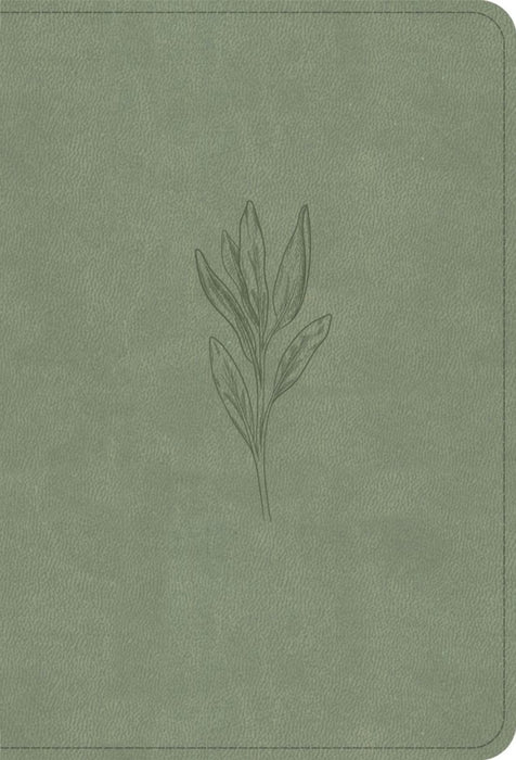 NASB Large Print Compact Reference Bible, Sage