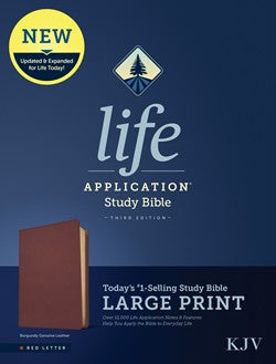 KJV Life Application Study Bible, Third Edition, Large Print