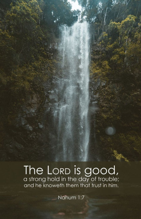 General Worship Bulletin: Lord is Good (Package of 100)