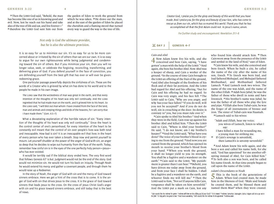 ESV Everyday Gospel Bible