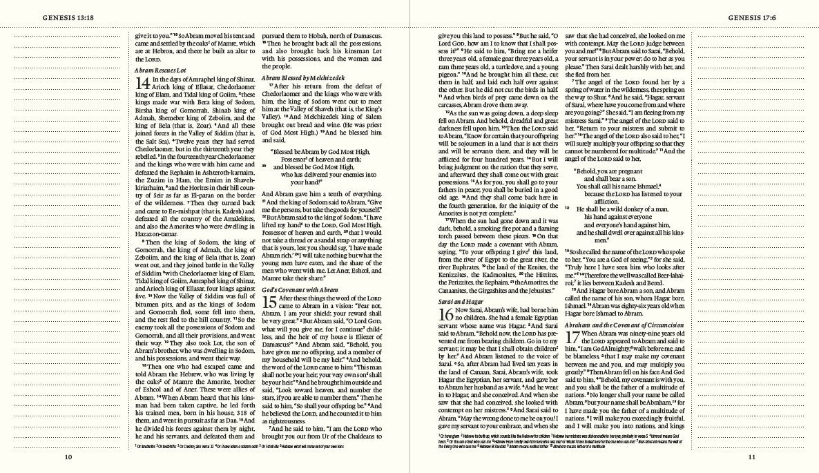 ESV Journaling Bible (Trutone, Paris Sky, Emblem Design)