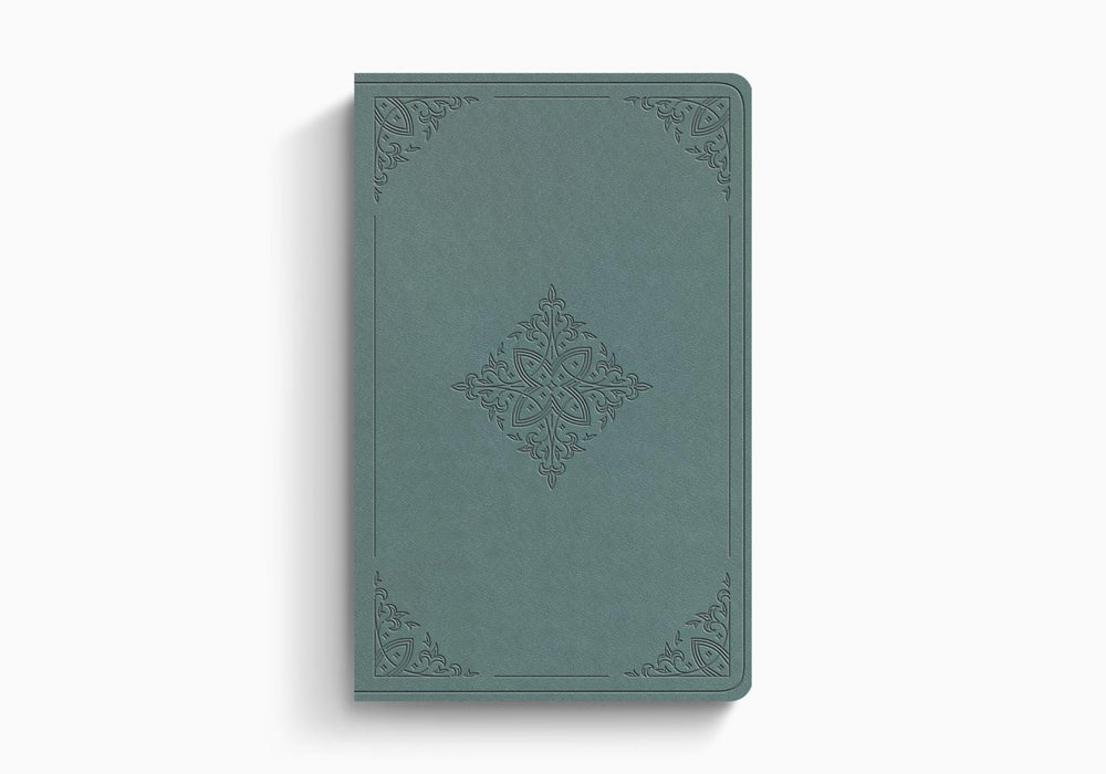 ESV Value Thinline Bible (Trutone, Paris Sky, Fleur-De-Lis)