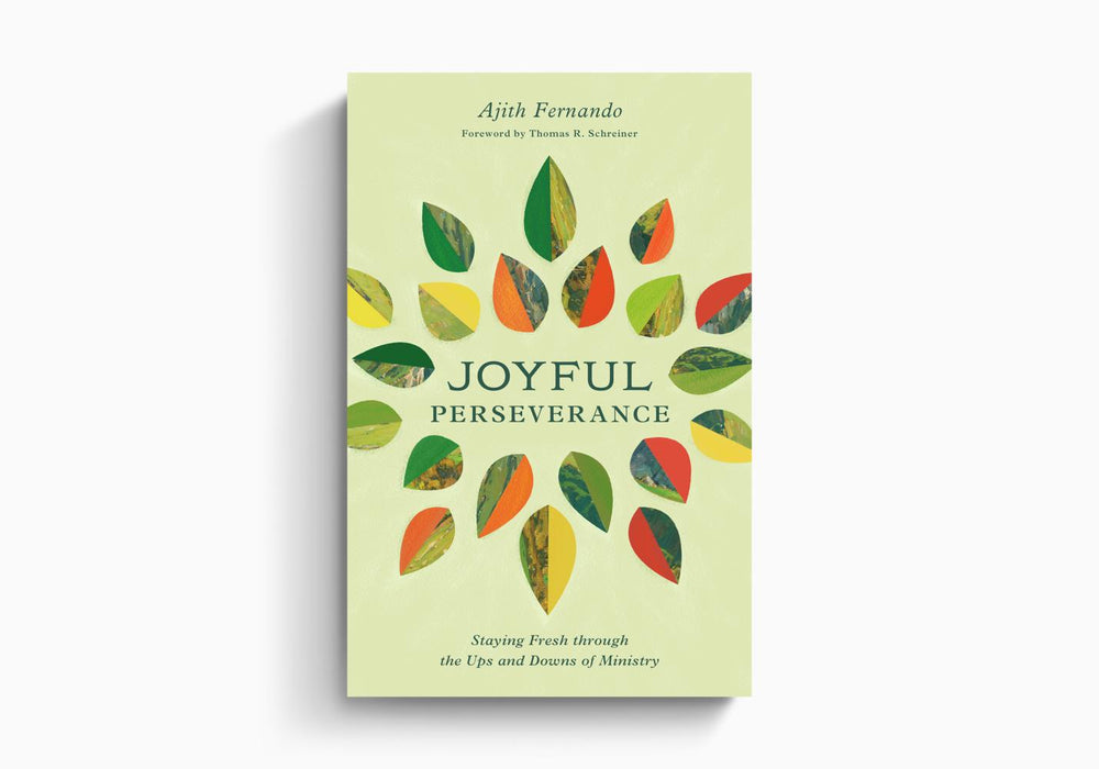 Joyful Perseverance