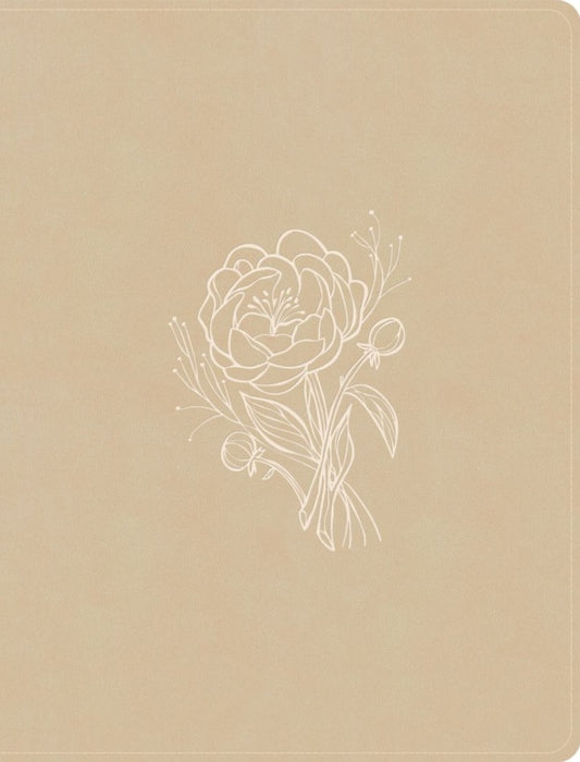 CSB Illustrator’s Notetaking Bible, Large Print Edition