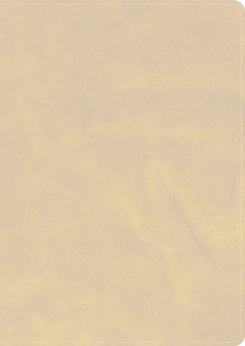 CSB She Reads Truth Bible, Holman Handcrafted Collection