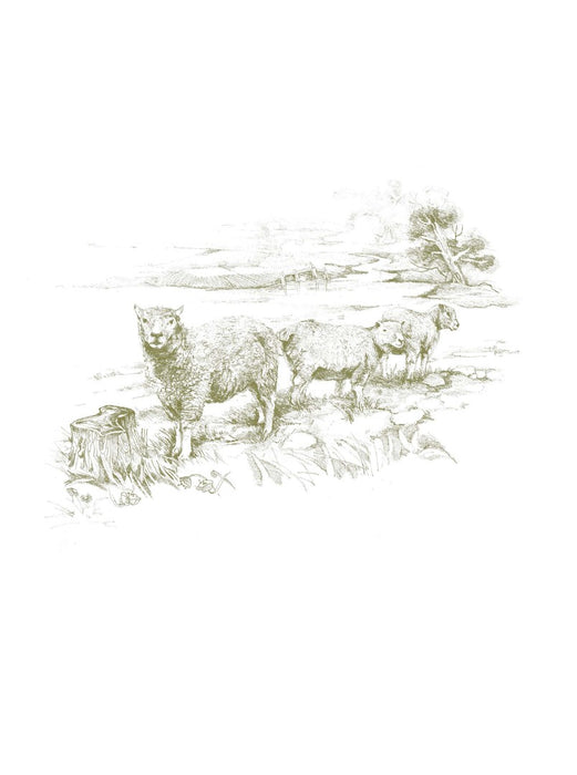 Meeting God in Quiet Places