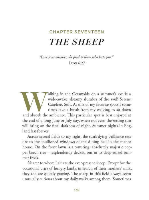 Meeting God in Quiet Places