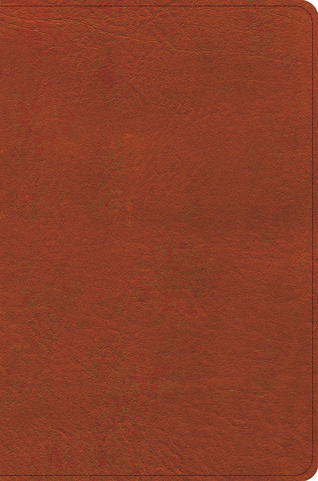 CSB Study Bible, Personal Size Edition, Burnt Sienna