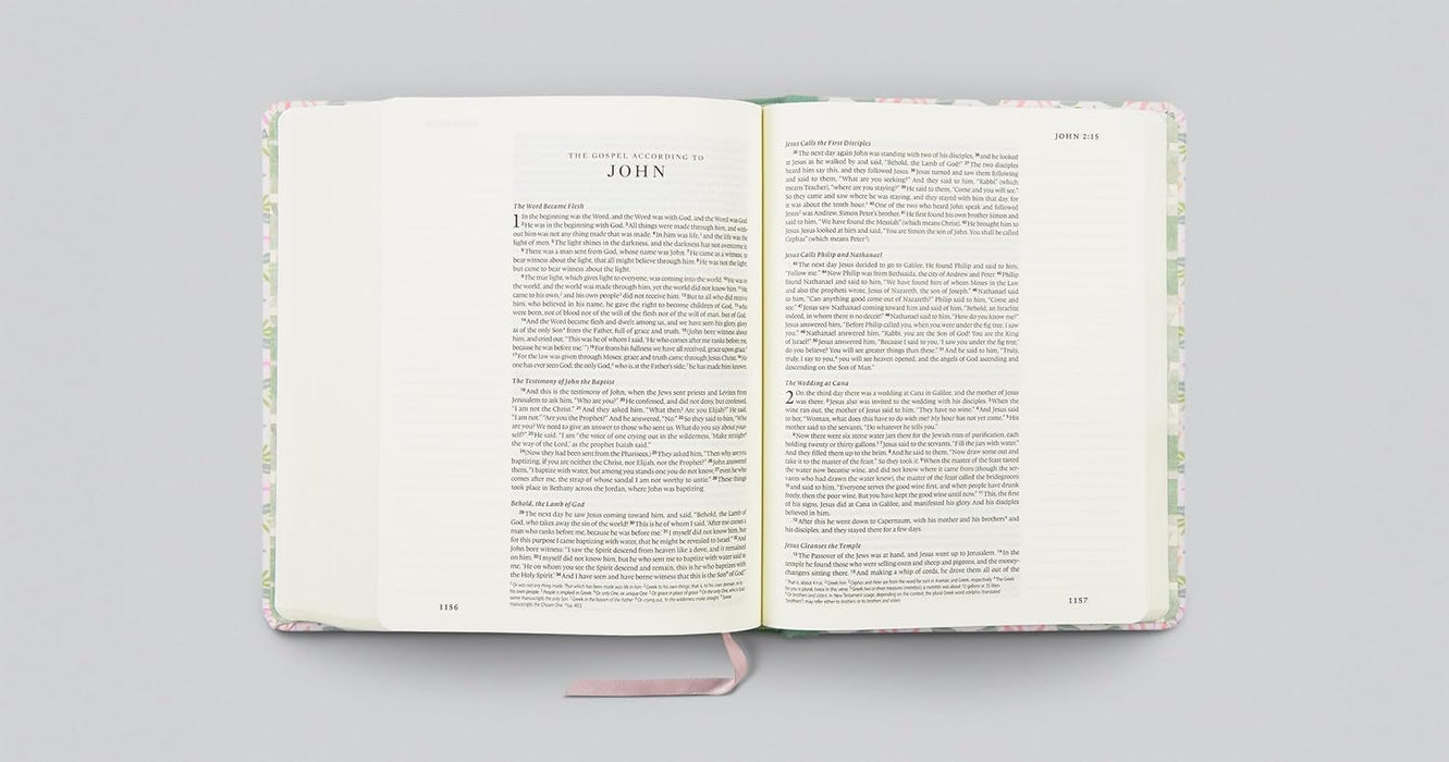 ESV Single Column Journaling Bible, Artist Series