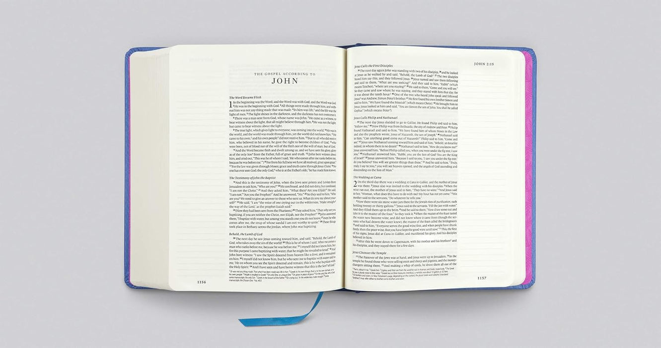 ESV Single Column Journaling Bible, Artist Series