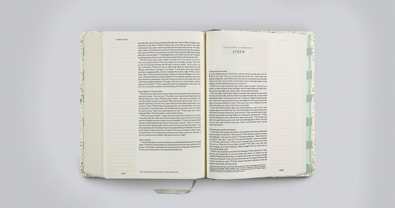 ESV Single Column Journaling Bible, Artist Series