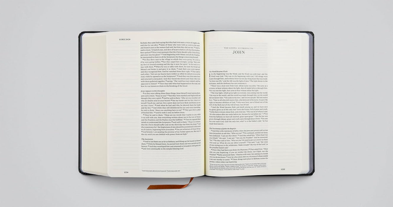 ESV Single Column Journaling Bible, Artist Series