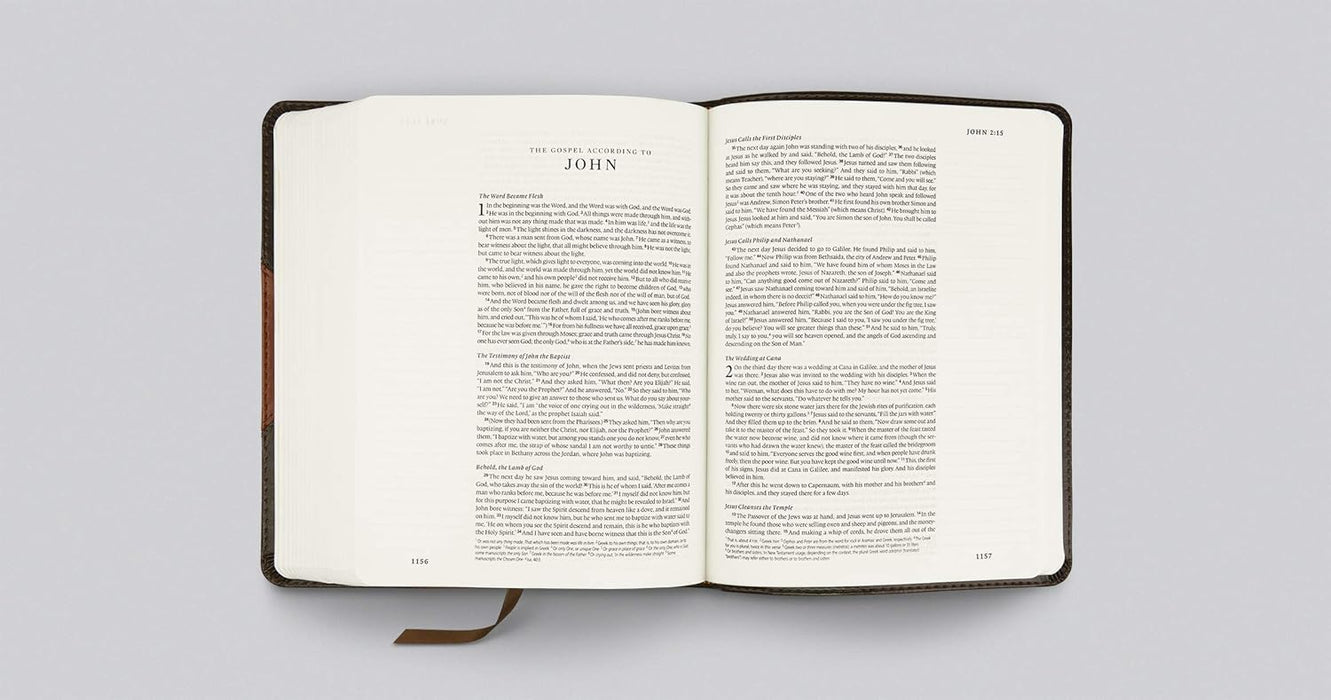 ESV Single Column Journaling Bible, Brown/Cordovan