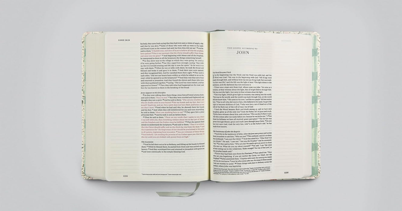 ESV Single Column Journaling Bible, Artist Series