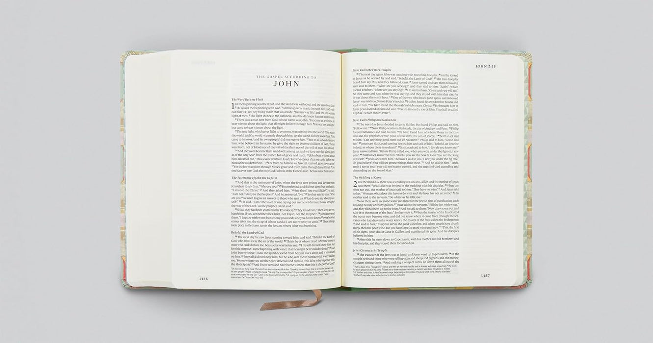 ESV Single Column Journaling Bible, Artist Series