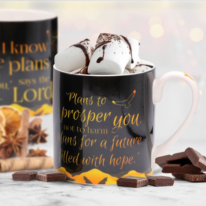 Plans For You Mug & Giftbox