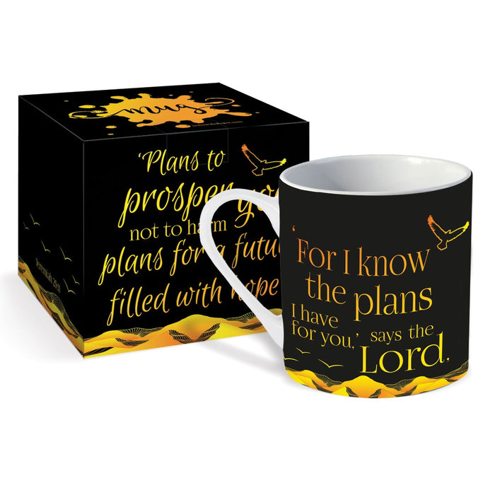 Plans For You Mug & Giftbox