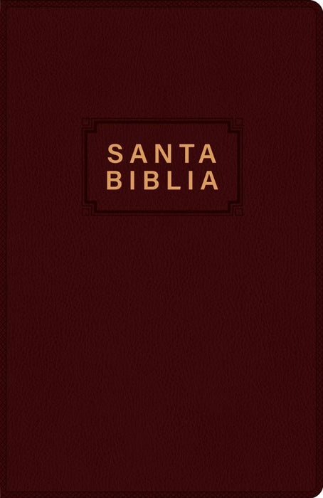 Santa Biblia NTV, Edición Premio Y Regalo, Vinipiel
