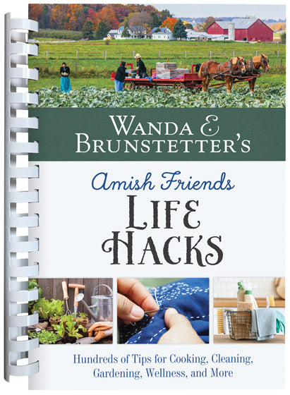 Amish Friends Life Hacks