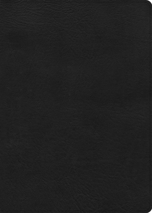 CSB Study Bible, Large Print Edition, Black, Indexed