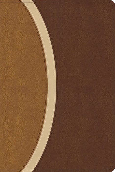 CSB Rainbow Study Bible, Brown Leathertouch