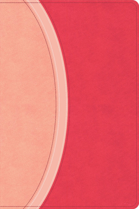 CSB Rainbow Study Bible, Pink Leathertouch (Limited Edition)