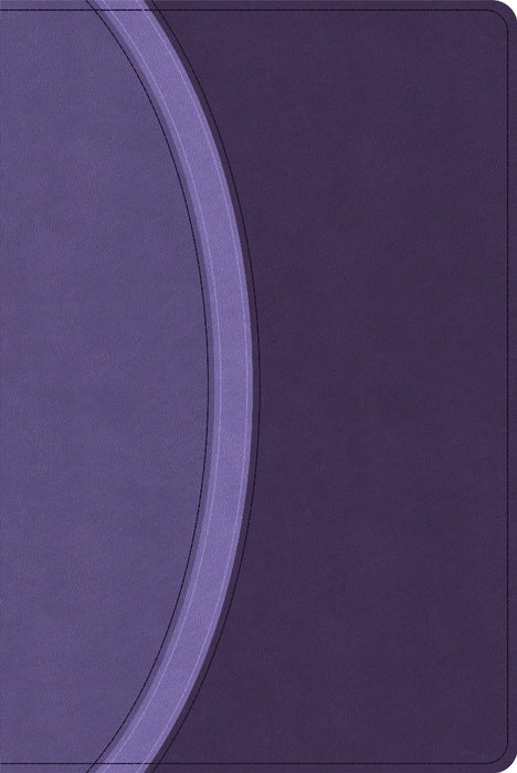 CSB Rainbow Study Bible, Purple Leathertouch