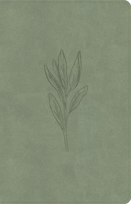 KJV Thinline Bible, Sage Suedesoft Leathertouch