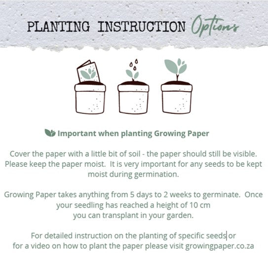 Mustard Seed Seeded Card