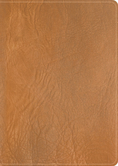 CSB He Reads Truth Bible, Holman Handcrafted Collection