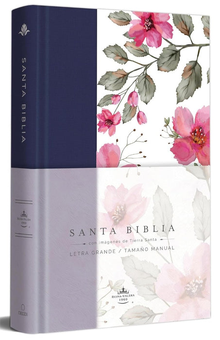 Biblia Rvr 1960 Letra Grande. Tapa Dura Tela Azul PúRpura Co