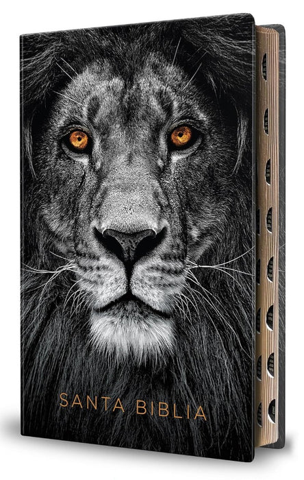 Biblia Reina Valera 1960 Letra Grande. Biblia León