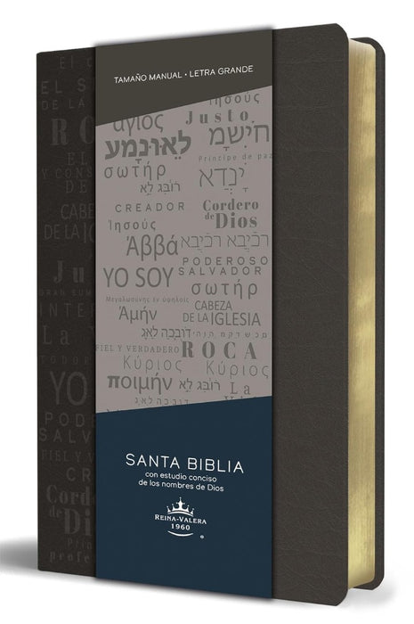 Biblia Rvr 1960 Letra Grande Tamaño Manual, Simil Piel