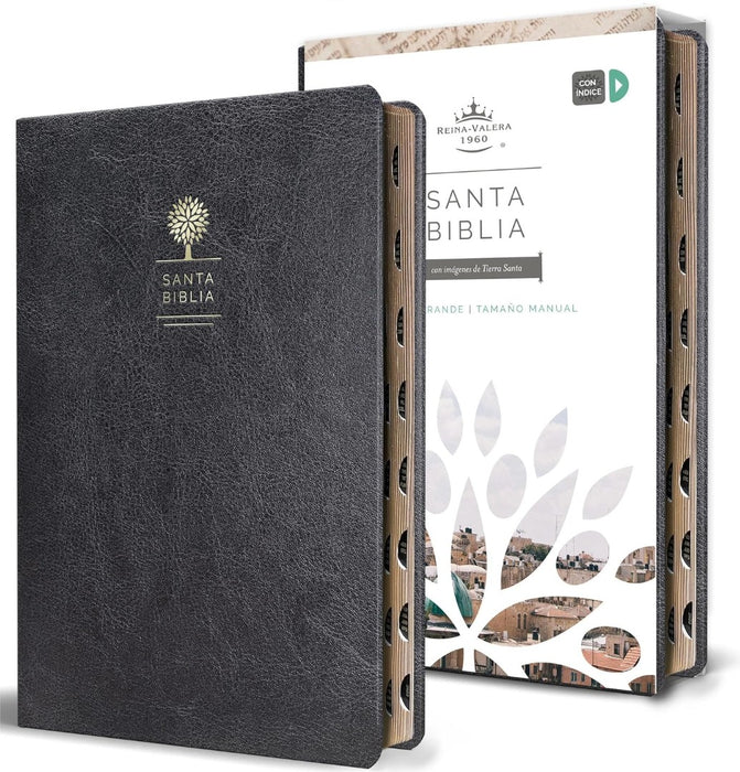 Biblia Reina Valera 1960 Letra Grande. Símil Piel Negro