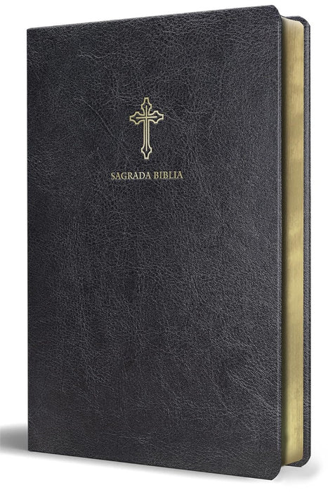 Biblia Católica En Español