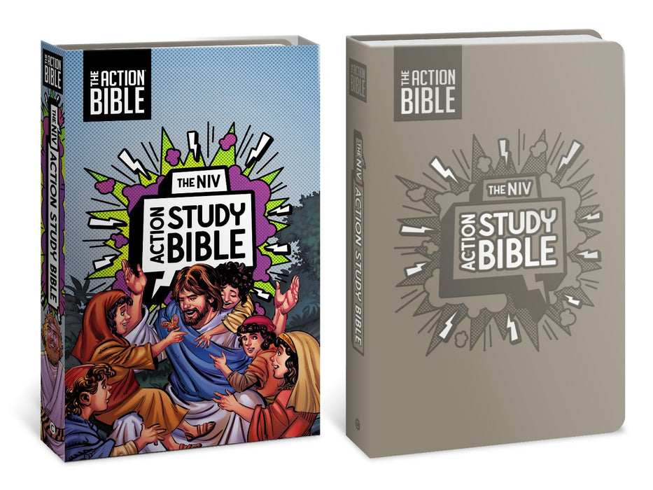 NIV Action Study Bible, Leathersoft, Gray, Full Color