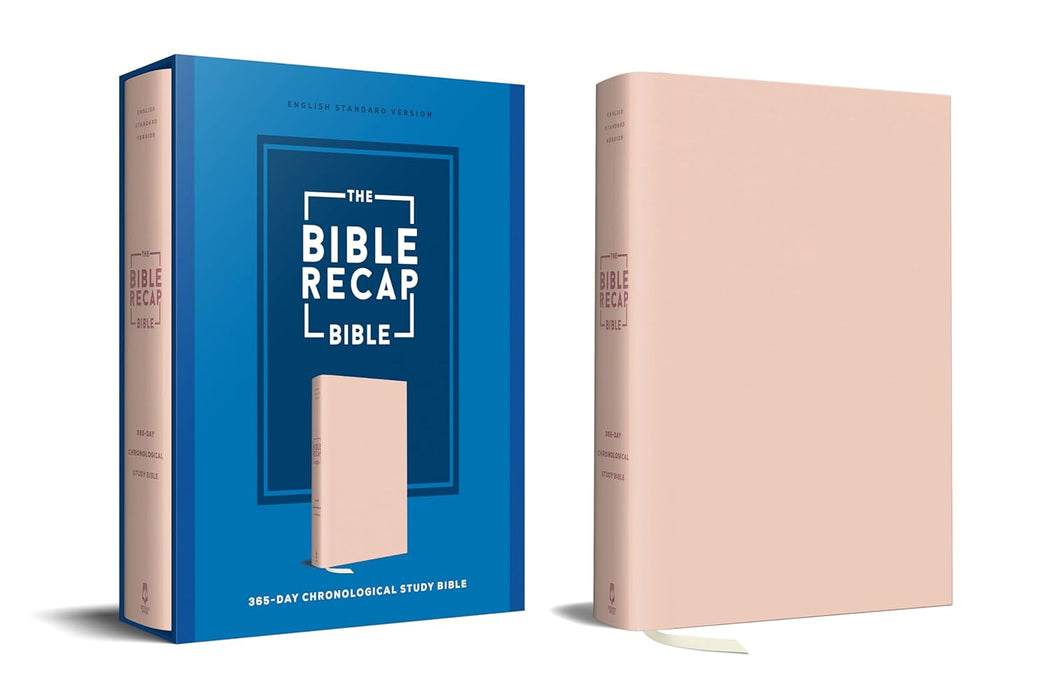 The Bible Recap 365-Day Chronological Study Bible
