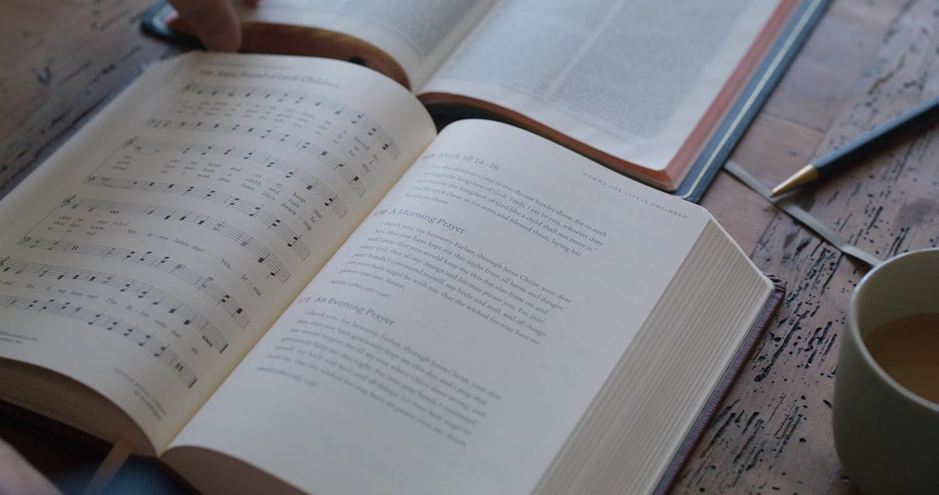 Sing! Hymnal, The (Trutone Over Board, Brown)