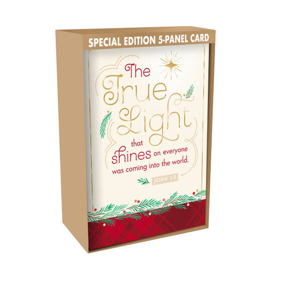 The True Light Christmas Cards (Pack of 18)