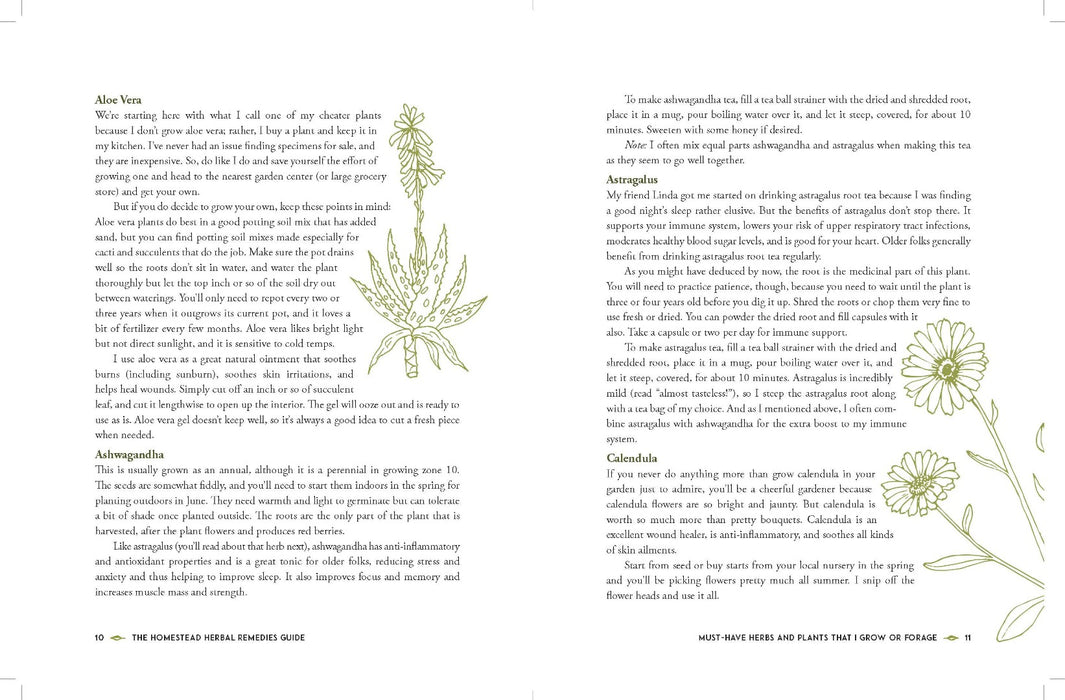 The Homestead Herbal Remedies Guide